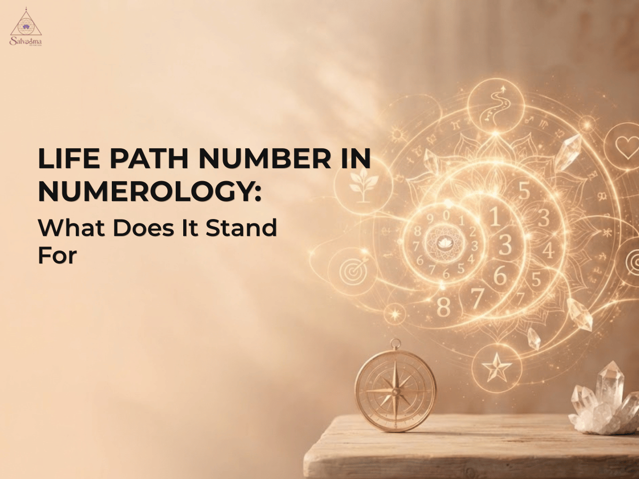 Life Path Number in Numerology What Does It Stand For